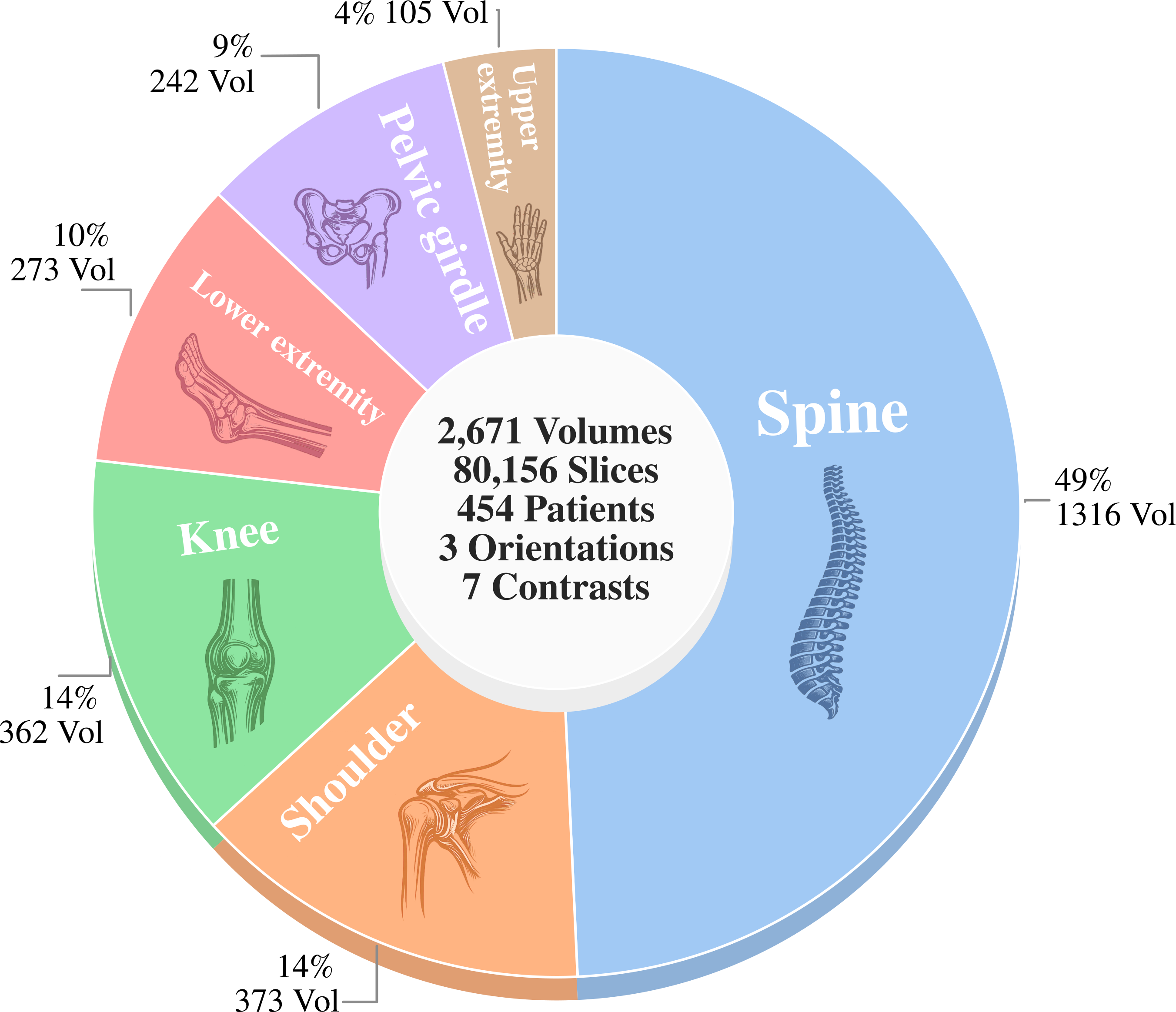 Anatomy distribution across MosaicMRI