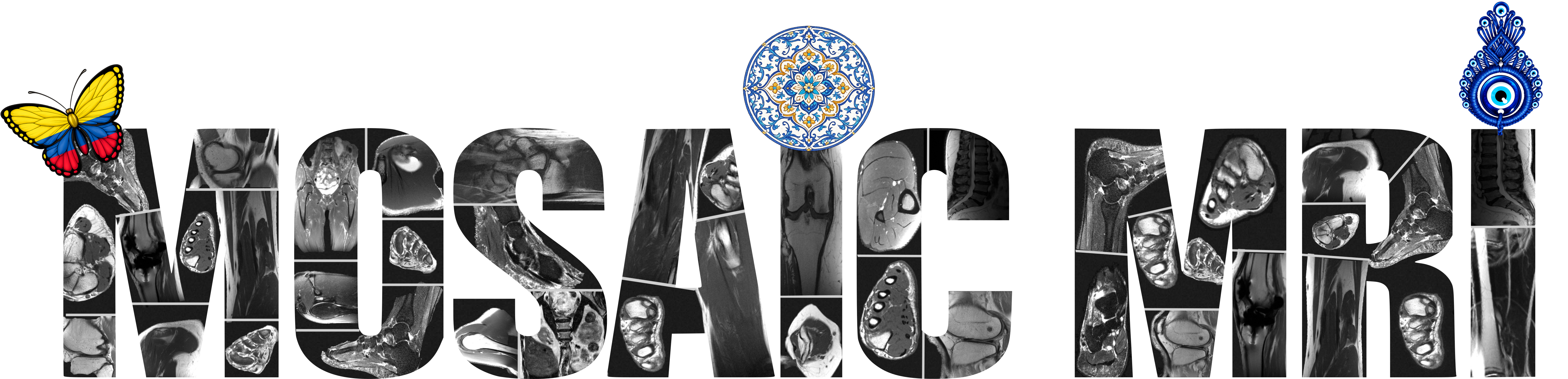 MosaicMRI title